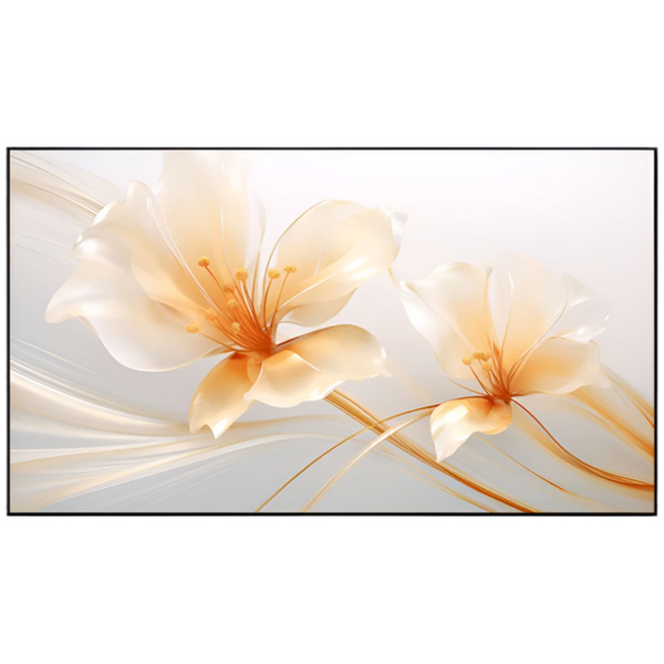 Xgimi 100 Inch UST ALR Projector Screen P165S