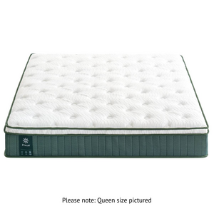 Zinus Queen Green Premium Pocket Spring Euro Top Mattress AU-MSSBO4ZC-10Q