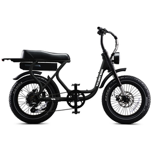 Flight Risk FR303 E-Bike Black FR-303BLACK