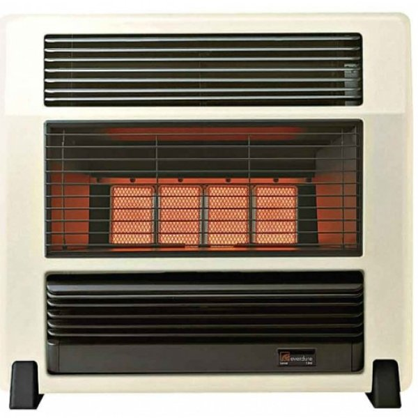 Everdure gas heater store